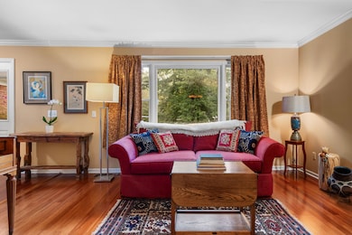 8-web-or-mls-1SC08899