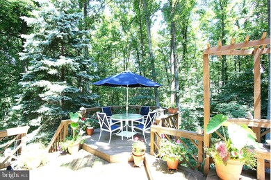 11616 Deer Forest Rd, Reston, VA 20194 - photo 5