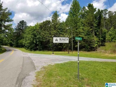 Lots 11, 12, 13 Cherokee Cove unit Lots 11, 12, & 13; o, Clanton, AL 35046 - photo 3