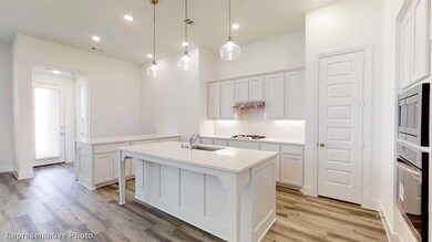 3526 Vision Ridge Trail, Denison, TX 75020 - photo 4