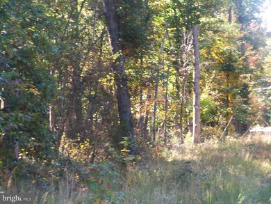 6501 Union Mill Rd, Clifton, VA 20124 - photo 2