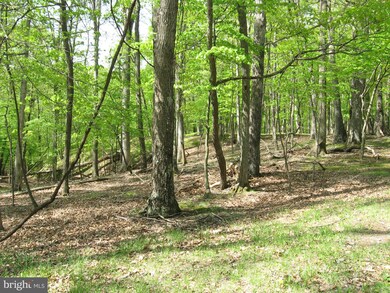 0 Tranquil Way unit WVMO115228, Great Cacapon, WV 25422 - photo 7