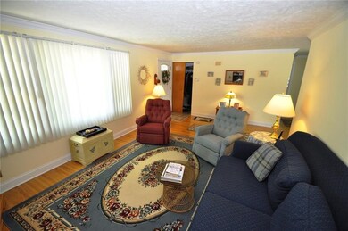 Bright and Spacious living room