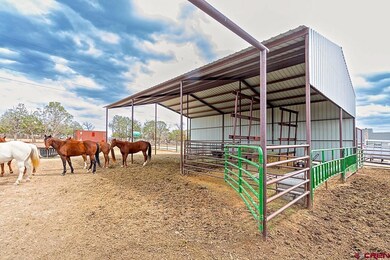 23971 Road N, Cortez, CO 81321 - photo 3