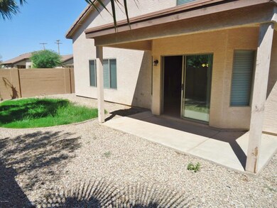 Back Patio