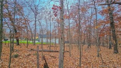 Lot #274 Grand Point Blvd, Jasper Township, MO 65079 - photo 4