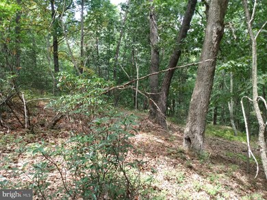 0 Roberts Ln unit WVMO2000484, Great Cacapon, WV 25422 - photo 6