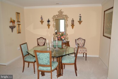 4800 Coyle Rd unit 309, Owings Mills, MD 21117 - photo 7