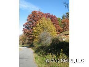 168 Moores Valley Rd, Leicester, NC 28748 - photo 7