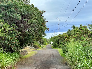 Beautiful country street close to main paved road.