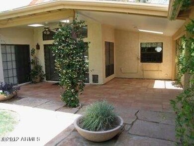 Back Patio