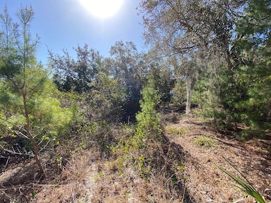 Lot 12 Susan St, Cedar Key, FL 32625 - photo 7