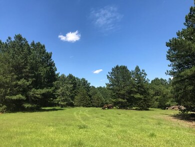 Lot 1 Guillebeau Rd, Lincolnton, GA 30817 - photo 4