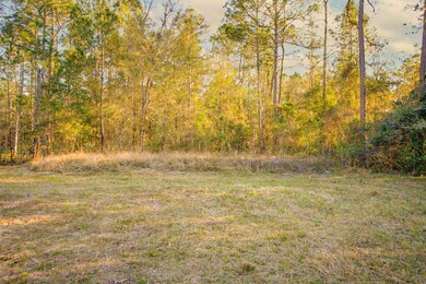 1931 County Road 13a N, Saint Augustine, FL 32092 - photo 7