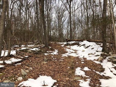 0 Etzler Rd unit MDFR2014238, Frederick, MD 21702 - photo 4