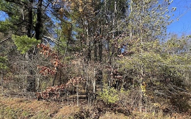 00 Stone Rd, Rose Township, PA 15825 - photo 3