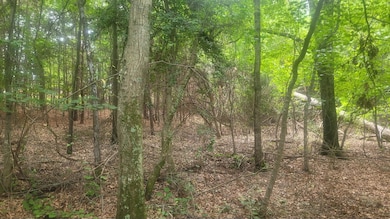 1429 Casey Creek Rd, Chesnee, SC 29323 - photo 3