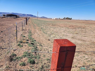 0 Franklin Rd SE unit 20230387, Deming, NM 88030 - photo 4