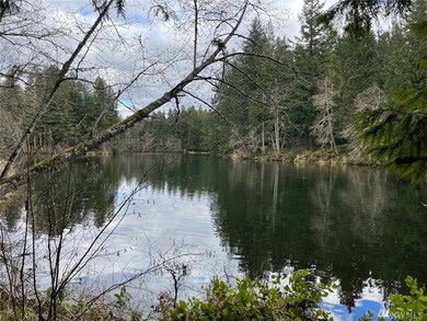 18542 Woodside Dr SE, Yelm, WA 98597 - photo 7