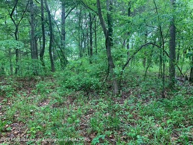 0 S Old Hwy 51 unit 2335199, Hernando, MS 38632 - photo 4