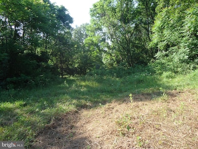 0 Fullerton Ln, South River, VA 22610 - photo 7