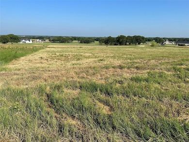 1040 Bluebonnet Ridge, Weatherford, TX 76087 - photo 7