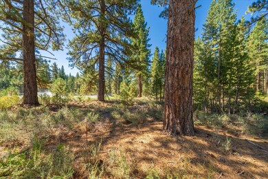 11300 Wolverine Cir, Truckee, CA 96161 - photo 7