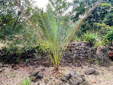 0 Ha'Eha'e St unit 718347, Naalehu, HI 96772 - photo 7