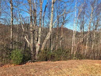 Lot# 122 Firethorn Trail, Blowing Rock, NC 28605 - photo 3