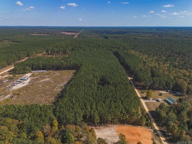 336 Grant County 676, Grapevine, AR 72057 - photo 4