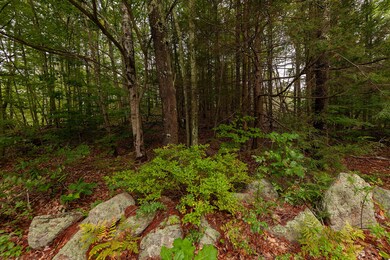 _DSC2264-Edit