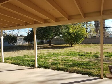 Back yard 1