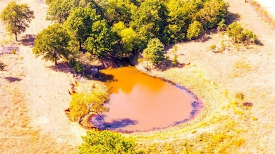 Aerial view of Pond