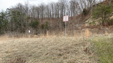 108 Water St, Johnson City, TN 37601 - photo 5