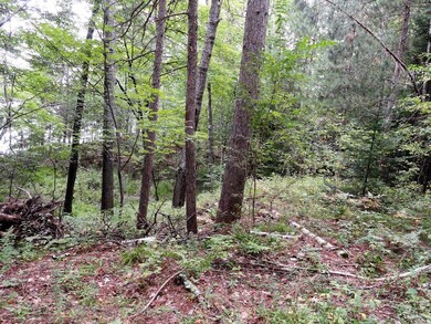 Lot 4 Forrester Rd, Tomahawk, WI 54487 - photo 7