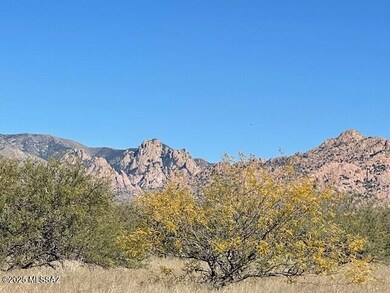 Lot 67 E Horse Ranch Unit 1 Rd unit 67, St. David, AZ 85630 - photo 6