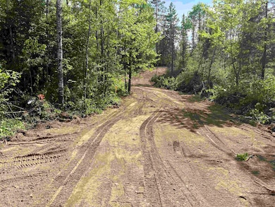 XXXX Murray Forest Rd, Breitung Township, MN 55731 - photo 6