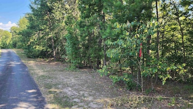 Lot 7 Oversprings Dr, Alexander, AR 72002 - photo 2