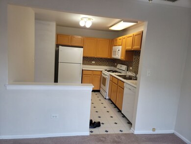 1872 Grove Ave unit 21C187, Schaumburg, IL 60193 - photo 5
