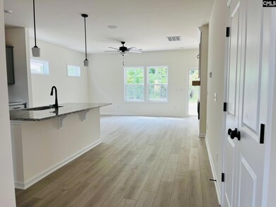 417 Destiny Farm Ln, Blythewood, SC 29016 - photo 5