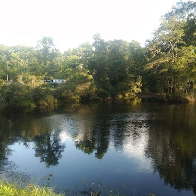 3292 S 2nd Avenue South Ave, Bonifay, FL 32425 - photo 2