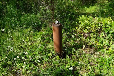 2020 394th St S, Roy, WA 98580 - photo 4