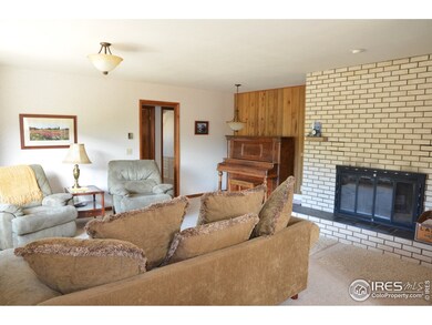 Wood Burning Fireplace