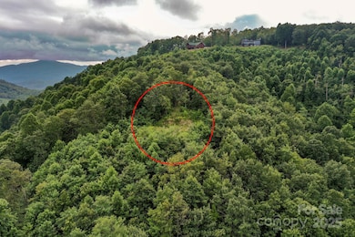 9999 High Cliffs Trail, Black Mountain, NC 28711 - photo 5