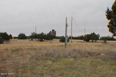 1397 Bourdon Ranch Rd, Show Low, AZ 85901 - photo 4