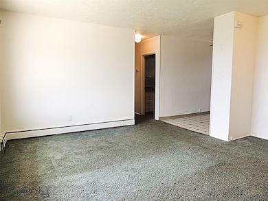 815 9th St, Butte, MT 59701 - photo 7