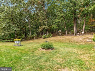 2321 Cedar Grove Rd, Winchester, VA 22603 - photo 7