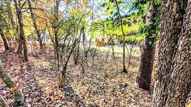 0 S Blair Ave unit B 1260505, Fayetteville, AR 72701 - photo 7