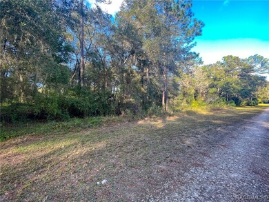 Lot on left side