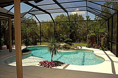 Your Own Tropical Oasis!